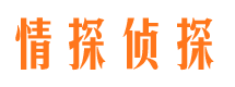 宁强市私家侦探